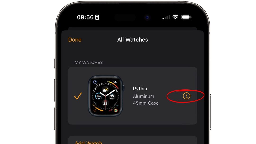 image showing info button and how to reset your apple watch series 7